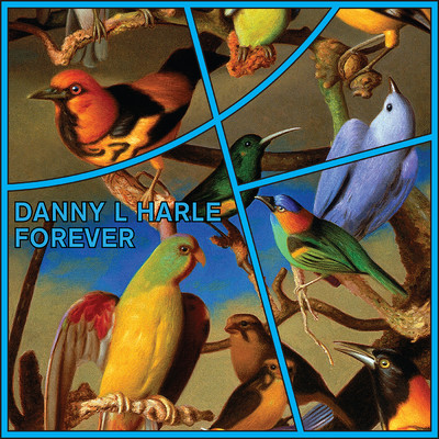 シングル/Forever/Danny L Harle