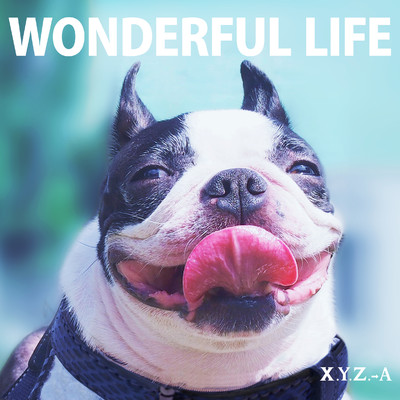 アルバム/WONDERFUL LIFE/X.Y.Z.→A