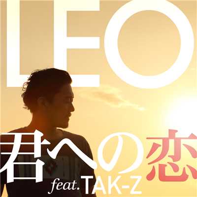 アルバム/君への恋 feat. TAK-Z/LEO