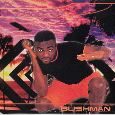 シングル/No 1 Else (Urban Jungle Remix)/Bushman