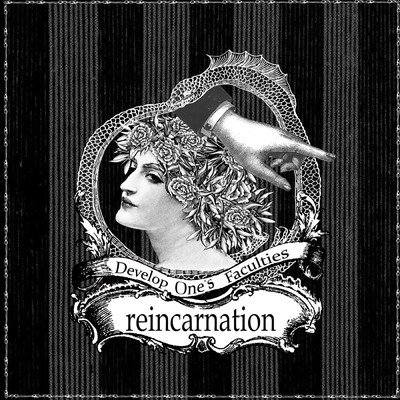 アルバム/reincarnation/Develop One's Faculties