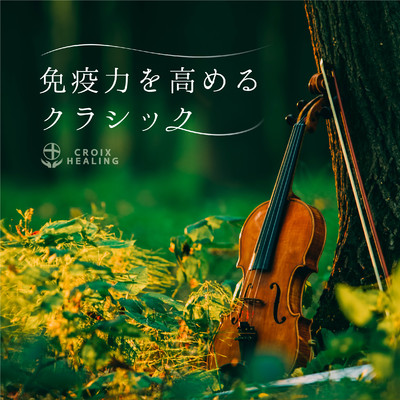 アルバム/免疫力を高めるクラシック/Various Artist