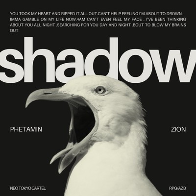 Shadow/Phetamin feat. ZION