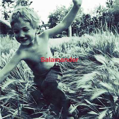 アルバム/Salamander/ELLEGARDEN