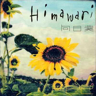 アルバム/向日葵-Himawari-/PE'Z
