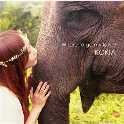 アルバム/Where to go my love？ (通常盤)/KOKIA
