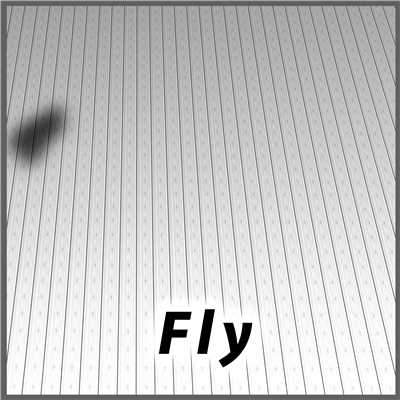 Fly/宮野徹