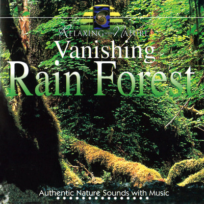 アルバム/Vanishing Rain Forest/Steve Quinzi