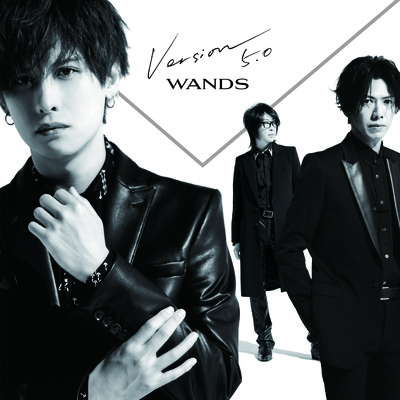アルバム/Version 5.0/WANDS