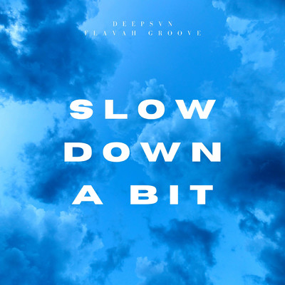 Slow Down A Bit/deepsvn／flavah groove