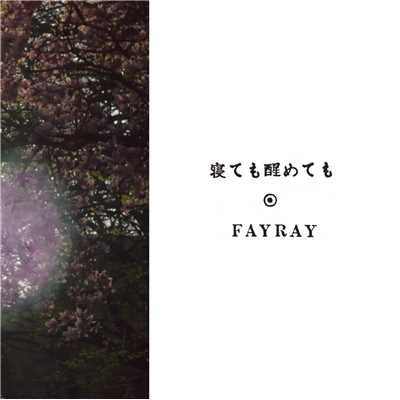 Lullaby/FAYRAY