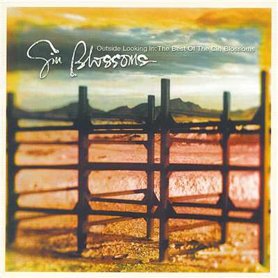 Outside Looking In: The Best Of The Gin Blossoms/GIN BLOSSOMS