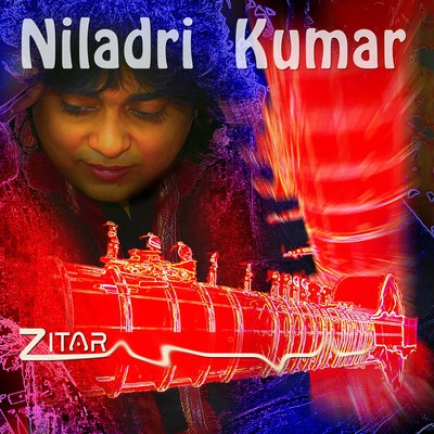 Niladri Kumar