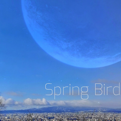 Spring Bird/KENGO HONDA