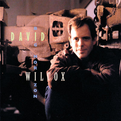 All The Roots Grow Deeper When It's Dry/DAVID WILCOX