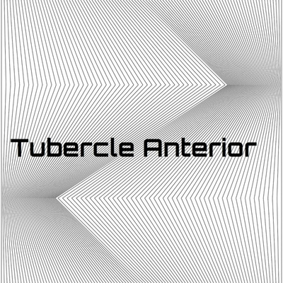 アルバム/Tubercle Anterior/Beryllium Baker