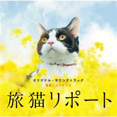 「旅猫リポート」オリジナル・サウンドトラック/コトリンゴ