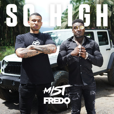 シングル/So High (feat. Fredo) [Skinz Remix]/MIST