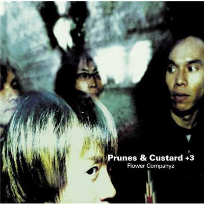 アルバム/Prunes & Custard +3/フラワーカンパニーズ