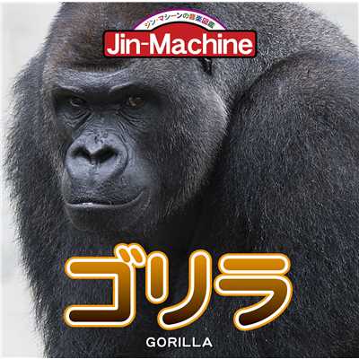 ゴリラ【ニシローランドゴリラ盤】/Jin-Machine