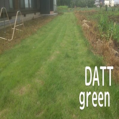 green/DATT