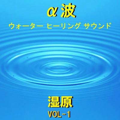 ハイ・グレード オルゴール α波  ウォーター ヒーリング  サウンド -湿原-  VOL-1/オルゴールサウンド J-POP