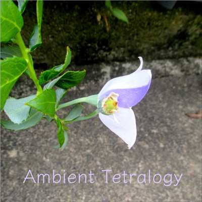 アルバム/Ambient Tetralogy/Shamshir