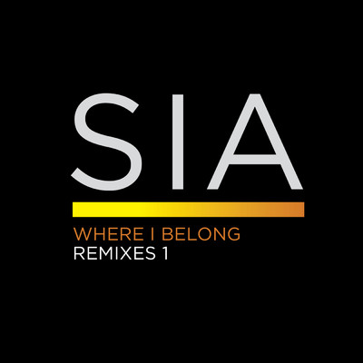シングル/Where I Belong (Roni Size Crush Remix)/Sia