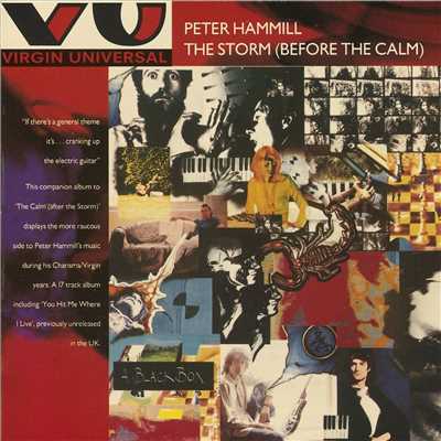 The Storm - Before The Calm/Peter Hammill