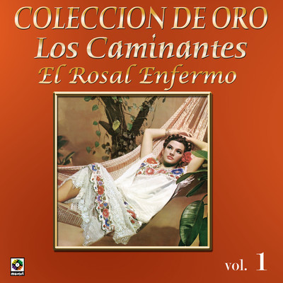 アルバム/Coleccion De Oro: La Trova Yucateca, Vol. 1/Los Caminantes