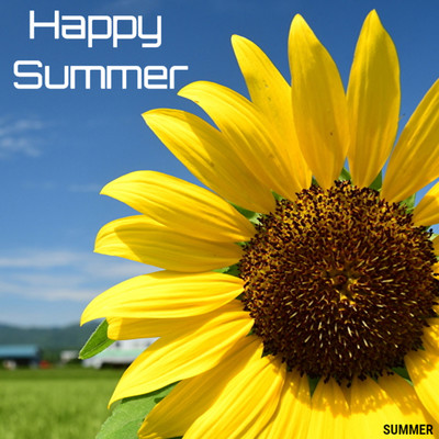 Happy Summer/SUMMER