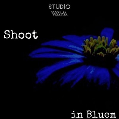 in Bluem/Shoot