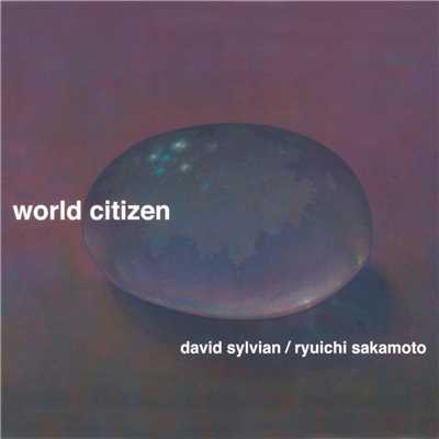 シングル/World Citizen (Ryoji Ikeda Remix)/デヴィッド・シルヴィアン／坂本龍一
