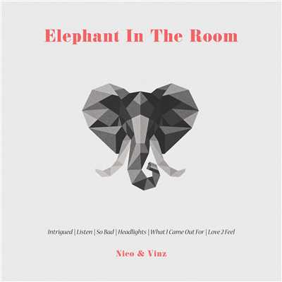アルバム/Elephant in the Room/Nico & Vinz