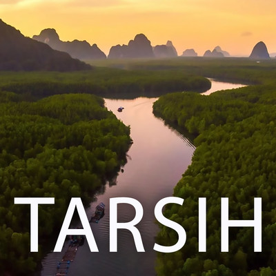アルバム/Tarsih/Darso