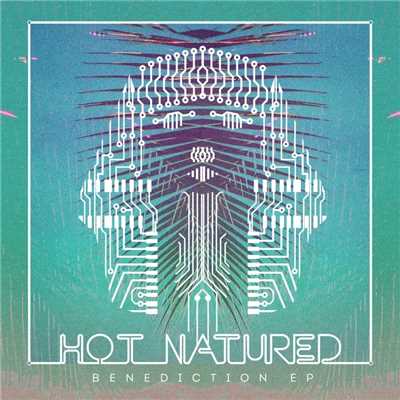 シングル/Benediction (No Artificial Colours Remix)/Hot Natured
