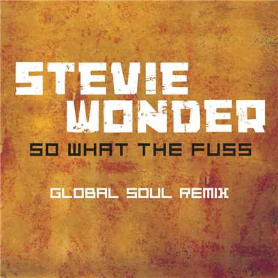 シングル/So What The Fuss (Global Soul Radio Mix)/スティーヴィー・ワンダー