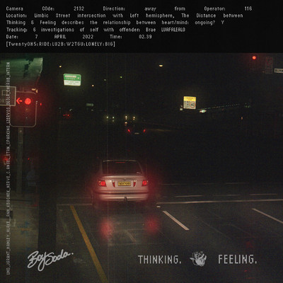 THE DISTANCE BETWEEN THINKING AND FEELING/BOY SODA