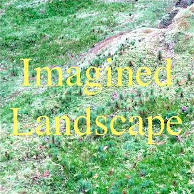 アルバム/Imagined Landscape/Shamshir