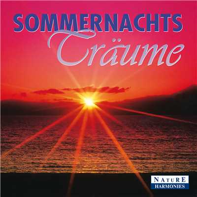 アルバム/Sommernachtstraume: Summer Night Dreams/Dave Stern
