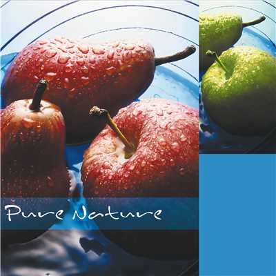 アルバム/Pure Nature/Dave Stern