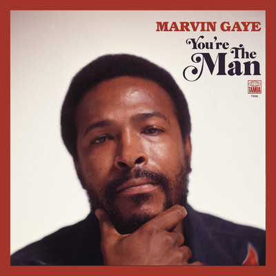 アルバム/You're The Man (Expanded Edition)/Marvin Gaye