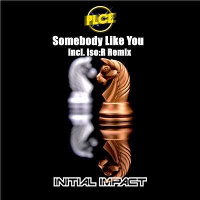 シングル/Somebody Like You (iso:R Remix)/PLCe