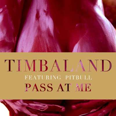 Pass At Me (featuring Pitbull)/ティンバランド