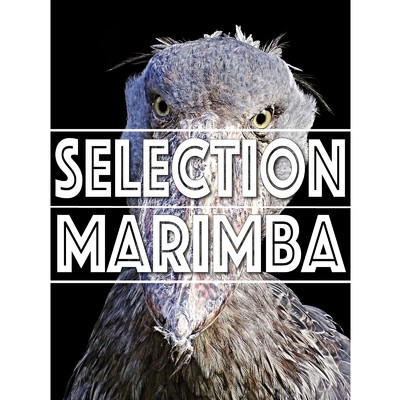 アルバム/SELECTION MARIMBA ～デフォルトマリンバを『◯◯風』にアレンジしたら…シリーズ/Jukebox ☆☆☆ MAGIC