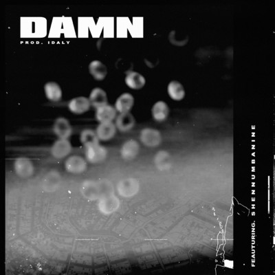 アルバム/DAMN (featuring Shennumbanine)/Idaly