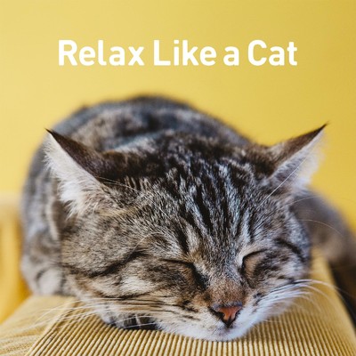 アルバム/Relax Like a Cat -心がほっこり落ち着く本格リラックスBGM-/ALL BGM CHANNEL