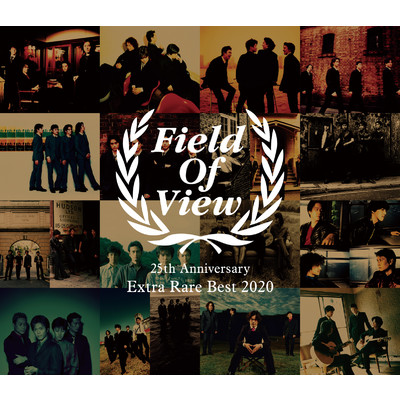 FIELD OF VIEW 25th Anniversary Extra Rare Best 2020/FIELD OF VIEW