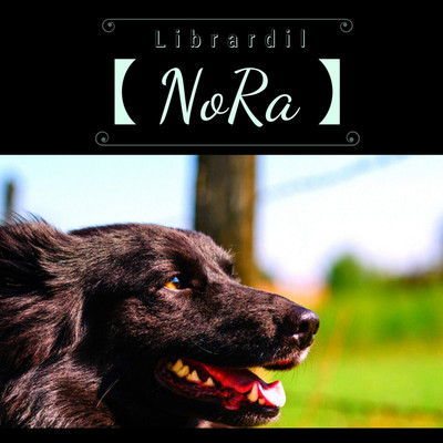 【 NoRa 】/Librardil