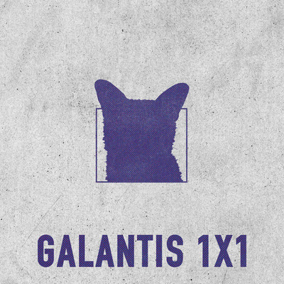 シングル/1x1/Galantis